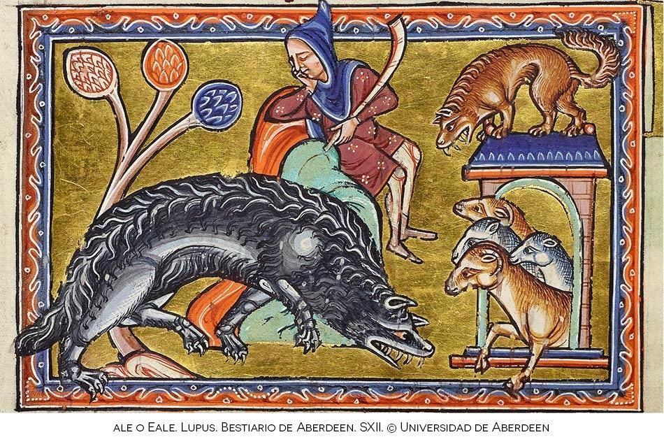 falta de empatía de la Administración Tributaria