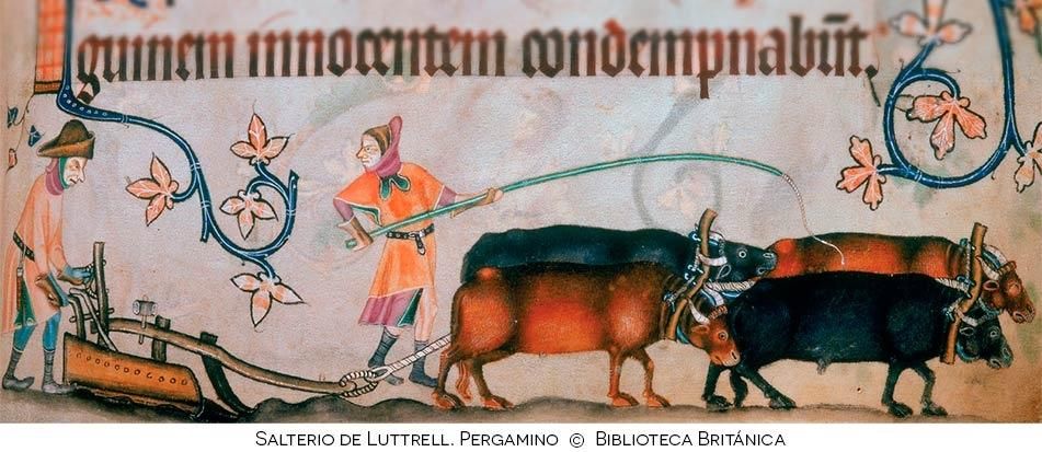 cuando procede iniciar el procedimiento de apremio