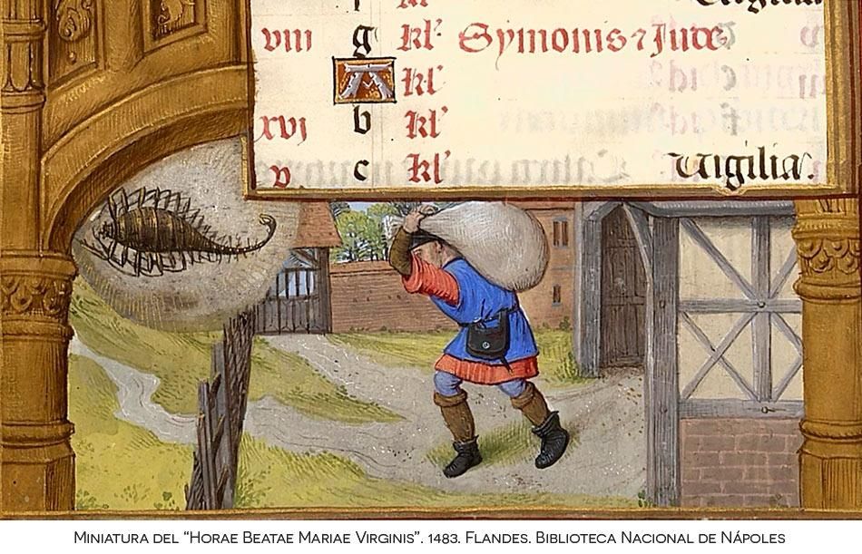 La sentencia sobre los pagos fraccionados en el impuesto de sociedades