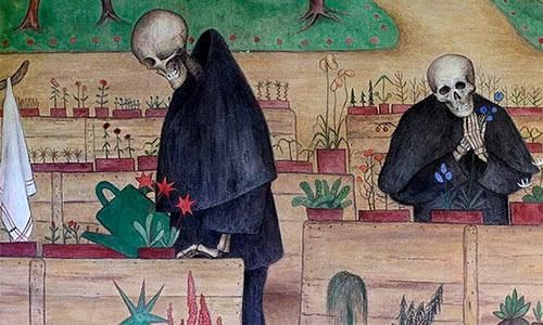 Caducidad y nulidad radical