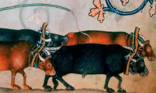 cuando procede iniciar el procedimiento de apremio